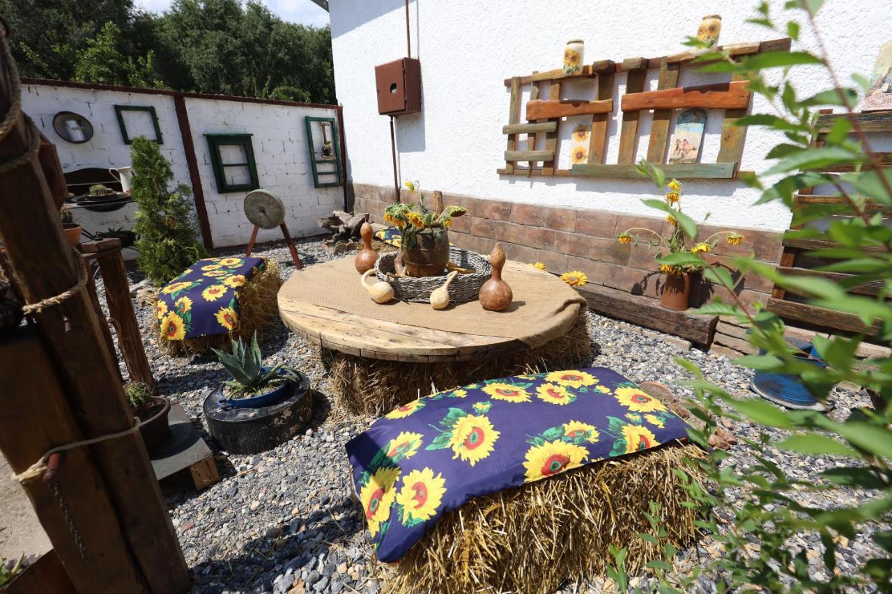 Etno Kuca Teodora Acomodação com café da manhã Stajicevo Exterior foto