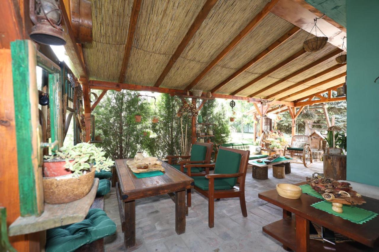Etno Kuca Teodora Acomodação com café da manhã Stajicevo Exterior foto