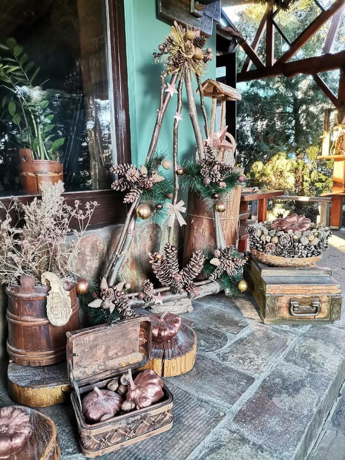 Etno Kuca Teodora Acomodação com café da manhã Stajicevo Exterior foto